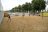 Турнир по пляжному волейболу посвященный дню города Ступино